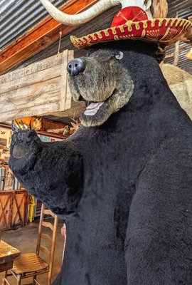 Hill Country BBQ by null