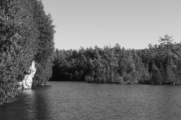 Rockwood Conservation Area by null