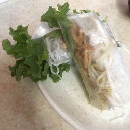 Potstickers & Spring Rolls