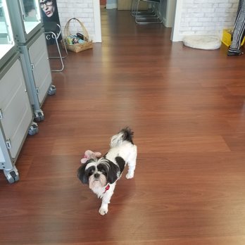 Sanz Optical - The very professional store greeter who will make you feel right at home:) - Optometrists Near Me - Miami, Florida Sanz Optical - The very professional store greeter who will make you feel right at home:) - Optometrists Near Me - Miami, Florida