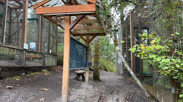 Cascades Raptor Center by null