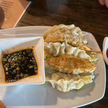 Tekka Asian Cuisine - Beef dumplings - Asian Fusion Near Me - Denver, Colorado
