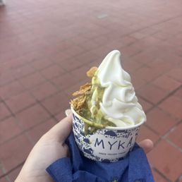 Frozen Yogurt