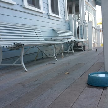 Gum Tree Cafe - Water for dogs - Australian Near Me - Hermosa Beach, California