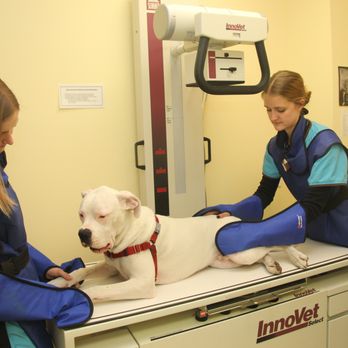 Roncy Village Veterinary Clinic - Veterinarians Near Me - Toronto, Ontario Roncy Village Veterinary Clinic - Veterinarians Near Me - Toronto, Ontario