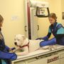Photo of Roncy Village Veterinary Clinic