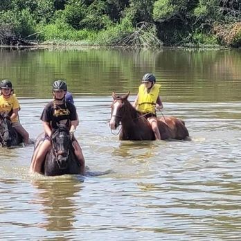 Honeysuckle Farm And Riding Academy - Horseback Riding Near Me - Monroe, North Carolina Honeysuckle Farm And Riding Academy - Horseback Riding Near Me - Monroe, North Carolina