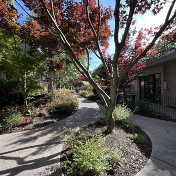 Greendale Apartments - Apartments Near Me - Mountain View, California Greendale Apartments - Apartments Near Me - Mountain View, California