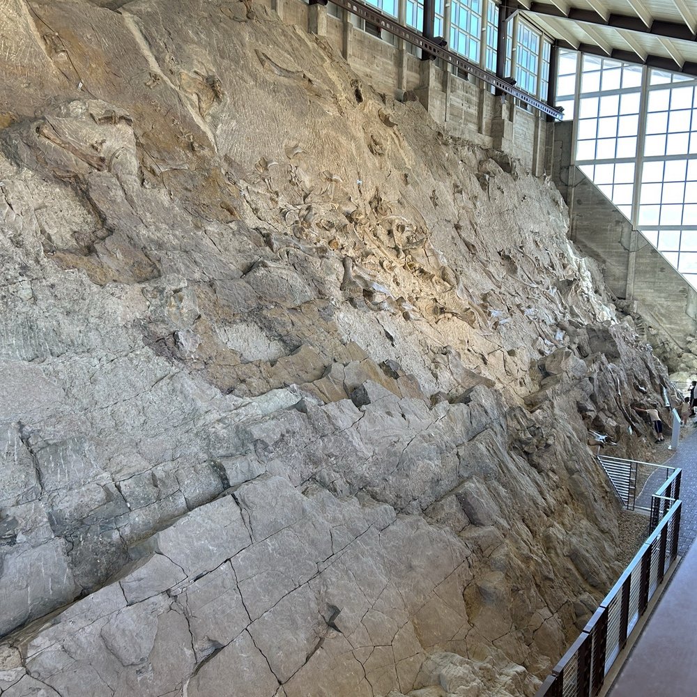 Dinosaur National Monument - Museums Near Me - Dinosaur, Colorado