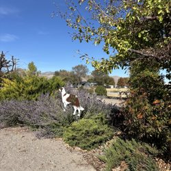 DAYS END RV PARK - Nice little fenced dog dog park