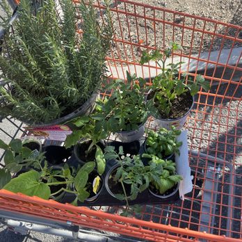 The Home Depot - Hardware Stores Near Me - Concord, California The Home Depot - Hardware Stores Near Me - Concord, California