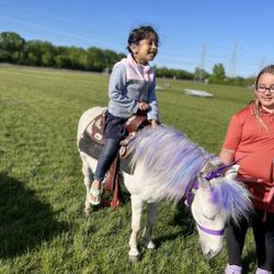 Ponies "R" Us & Mobile Petting Zoo - Canton schools!