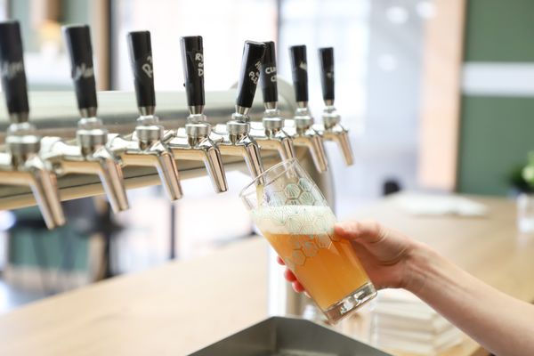 Lamplighter Brewing Co. - CX by null