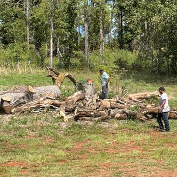 Porras Tree Service - Tree Services Near Me - Palestine, Texas Porras Tree Service - Tree Services Near Me - Palestine, Texas