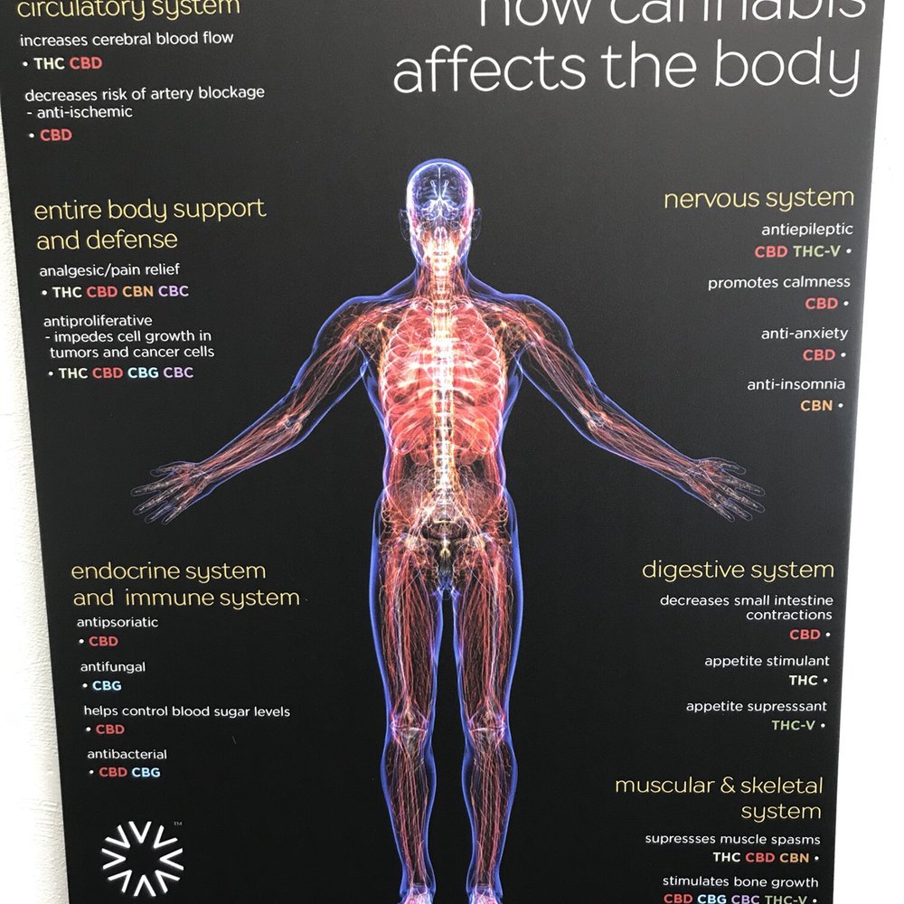 Liberty Cannabis Dispensary Baltimore - I LOVE this poster. - Cannabis Dispensaries Near Me - Baltimore, Maryland Liberty Cannabis Dispensary Baltimore - I LOVE this poster. - Cannabis Dispensaries Near Me - Baltimore, Maryland