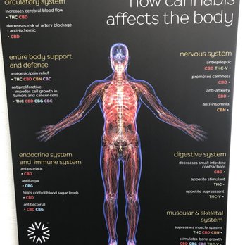 Liberty Cannabis Dispensary Baltimore - I LOVE this poster. - Cannabis Dispensaries Near Me - Baltimore, Maryland
