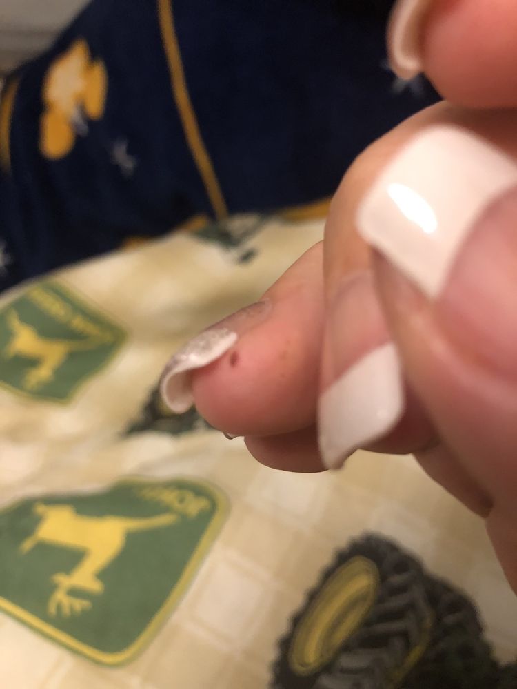 A Q NAIL SPA 29 Photos & 45 Reviews 12516 Capital Blvd, Wake Forest