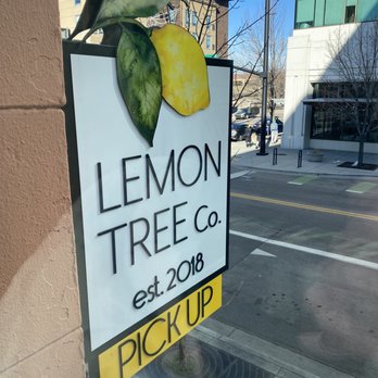 Lemon Tree - View from loft window - Sandwiches Near Me - Boise, Idaho Lemon Tree - View from loft window - Sandwiches Near Me - Boise, Idaho