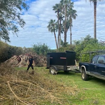 Haul Maui - Big green waste job - Junk Removal & Hauling Near Me