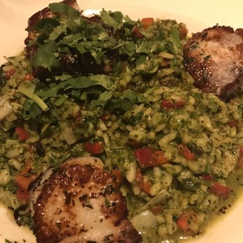 Cafe Santorini - Green curry risotto with scallops - Italian Near Me - Pasadena, California