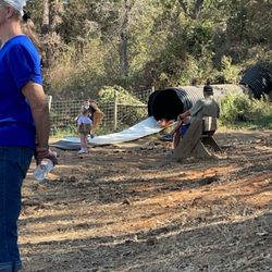 Mainstay Farm - Hill slide