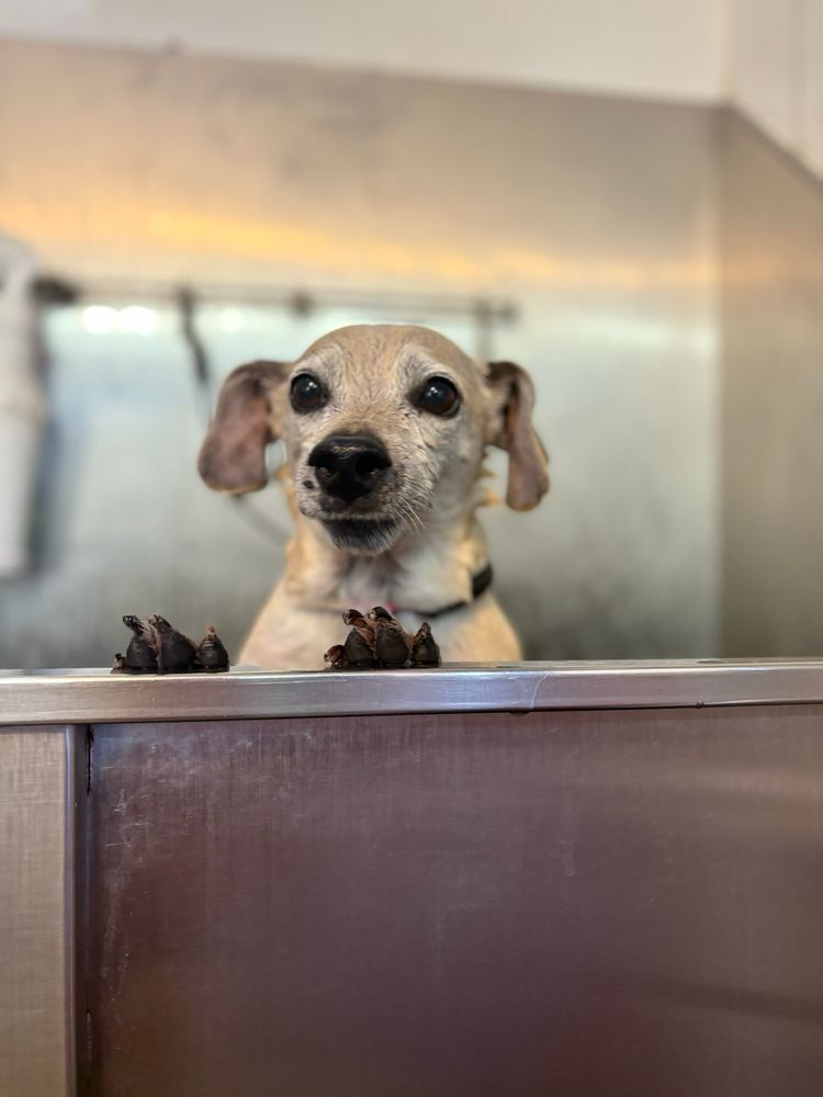 o Jupiter Florida Real Estate For Sale