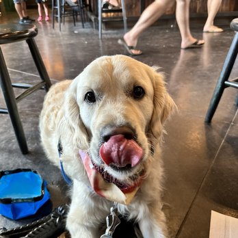 MEANWHILE BREWING - Updated February 2026 - 580 Photos & 333 Reviews ...