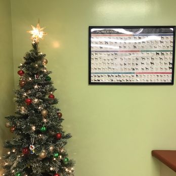 Sears Veterinary Hospital - Sears Veterinary Hospital - Veterinarians Near Me - Lancaster, California
