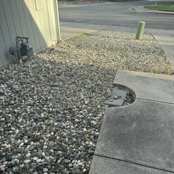 Hernandez Gardening - After - Lawn Services Near Me - West Sacramento, California Hernandez Gardening - After - Lawn Services Near Me - West Sacramento, California