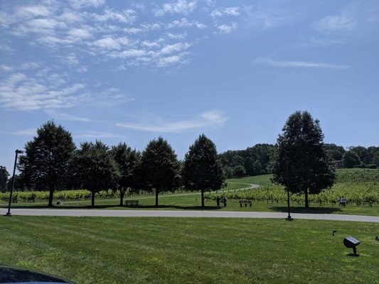 Clover Hill Vineyards & Winery by null