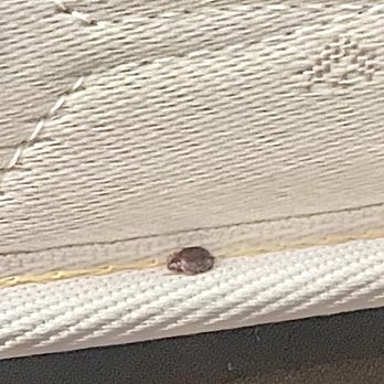 Vagabond Inn - Buttonwillow North I-5 - Bed bugs - Hotels Near Me - Buttonwillow, California