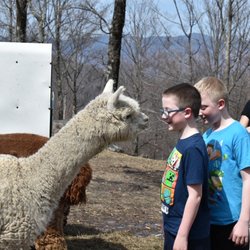 High Country Animals - Hi, kids!