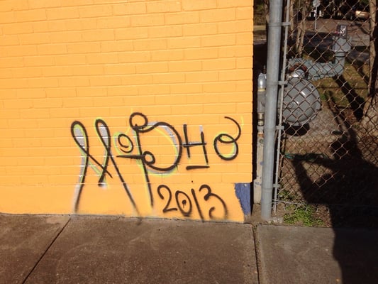 MOPHO by null