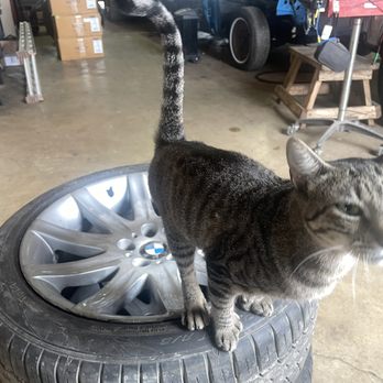 Ram's Automotive Services - Auto Repair Near Me - Converse, Texas Ram's Automotive Services - Auto Repair Near Me - Converse, Texas
