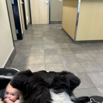 Willow Creek Veterinary Clinic - Veterinarians Near Me - Folsom, California Willow Creek Veterinary Clinic - Veterinarians Near Me - Folsom, California