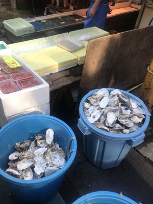 Tsukiji Outer Market by null