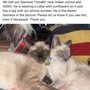 Photo of Heaven On My Earth Animal Rescuce