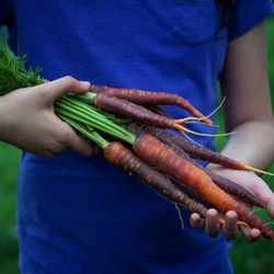 Pennypack Farm & Education Center