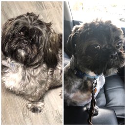 Before & After
