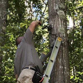 Southern Landscape Lighting Systems - Downlight from tree - Lighting Fixtures & Equipment Near Me - Acworth, Georgia Southern Landscape Lighting Systems - Downlight from tree - Lighting Fixtures & Equipment Near Me - Acworth, Georgia