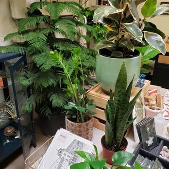 Pueblo - Nurseries & Gardening Near Me - Phoenix, Arizona