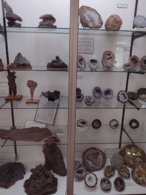 World Museum of Natural History by null