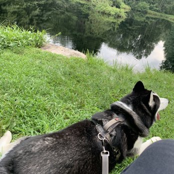 Roosevelt Forest - Hiking Near Me - Stratford, Connecticut