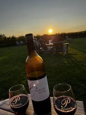 Paumanok Vineyards by null
