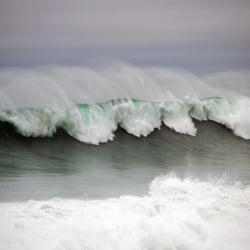 Mendocino Area Parks Association