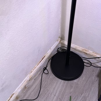 The Michael B - Mold in my living room which turned into black mold - Apartments Near Me - Las Vegas, Nevada