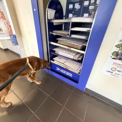 US Post Office