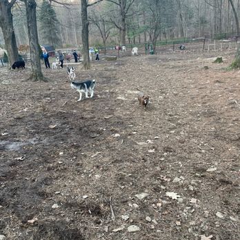Shelton Dog park - Dog Parks Near Me - Shelton, Connecticut