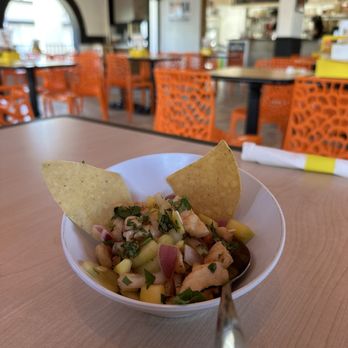 Boda - New Mexican Cuisine Near Me - Tampa, Florida Boda - New Mexican Cuisine Near Me - Tampa, Florida