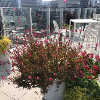 Hôtel Monville - Terrasse. No bar. No amenities whatsoever. - Hotels Near Me - Montreal, Quebec Hôtel Monville - Terrasse. No bar. No amenities whatsoever. - Hotels Near Me - Montreal, Quebec